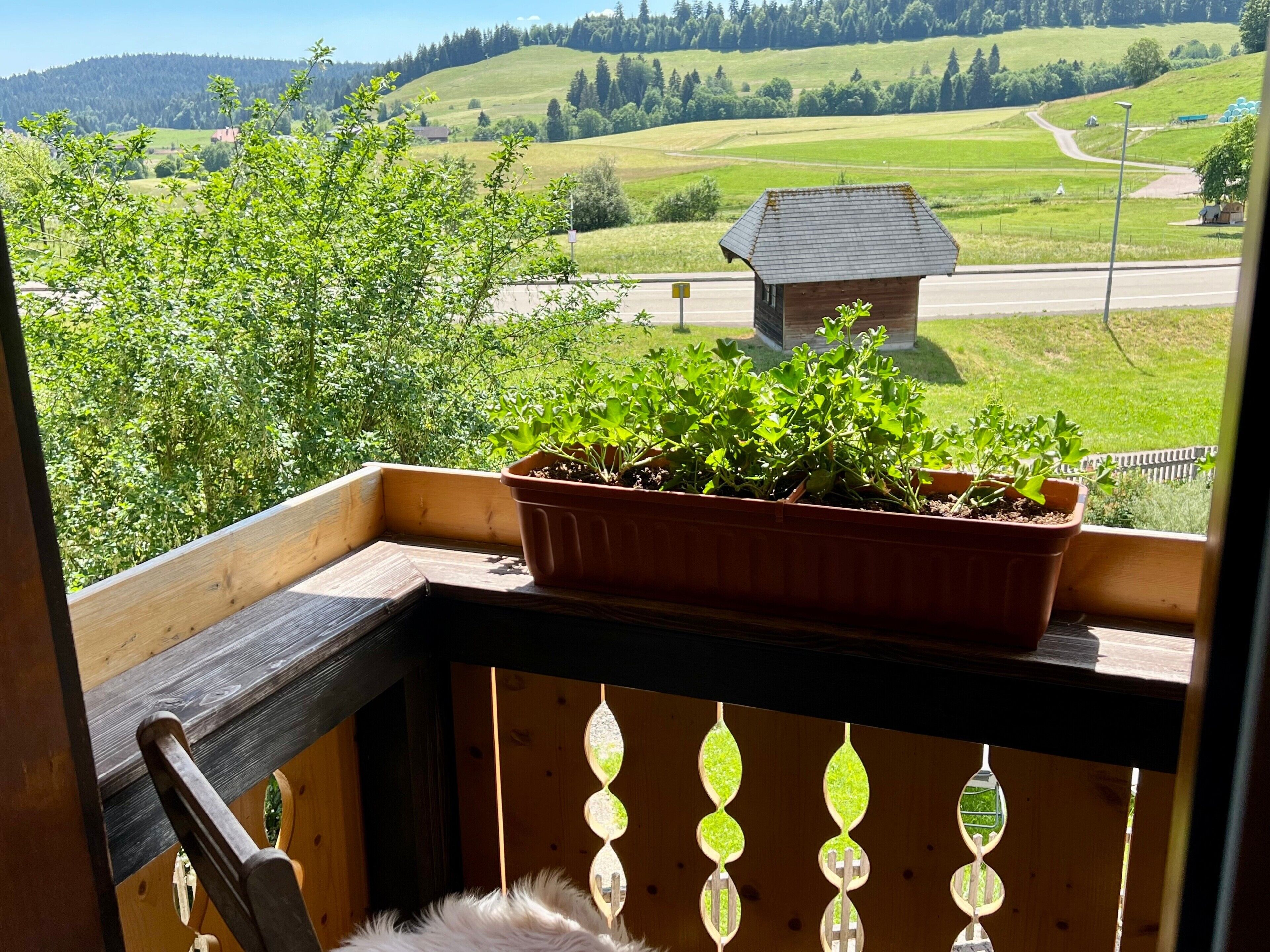 A balcony with a wooden railing, a potted plant, and a view of a green landscape with a house and a road.