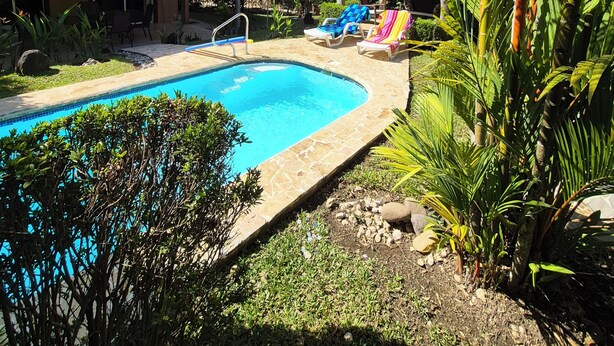 A swimming pool with a tiled deck, surrounded by lush greenery and a palm tree. - Beautiful home in gated community on private beach and Golf course in Costa Rica (Tambor)