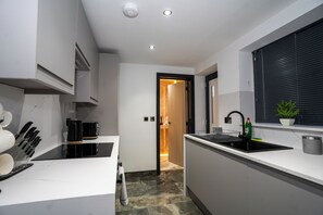 Full-size fridge, microwave, oven, stovetop - Rose House (Boston)