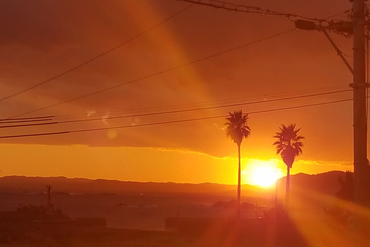 Un atardecer con siluetas de palmeras contra el cielo.