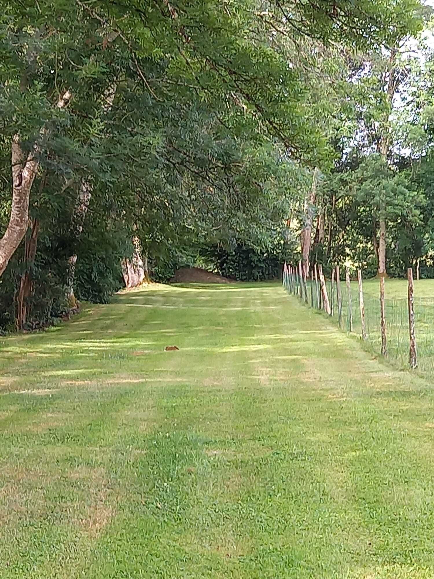 Enceinte de l’hébergement
