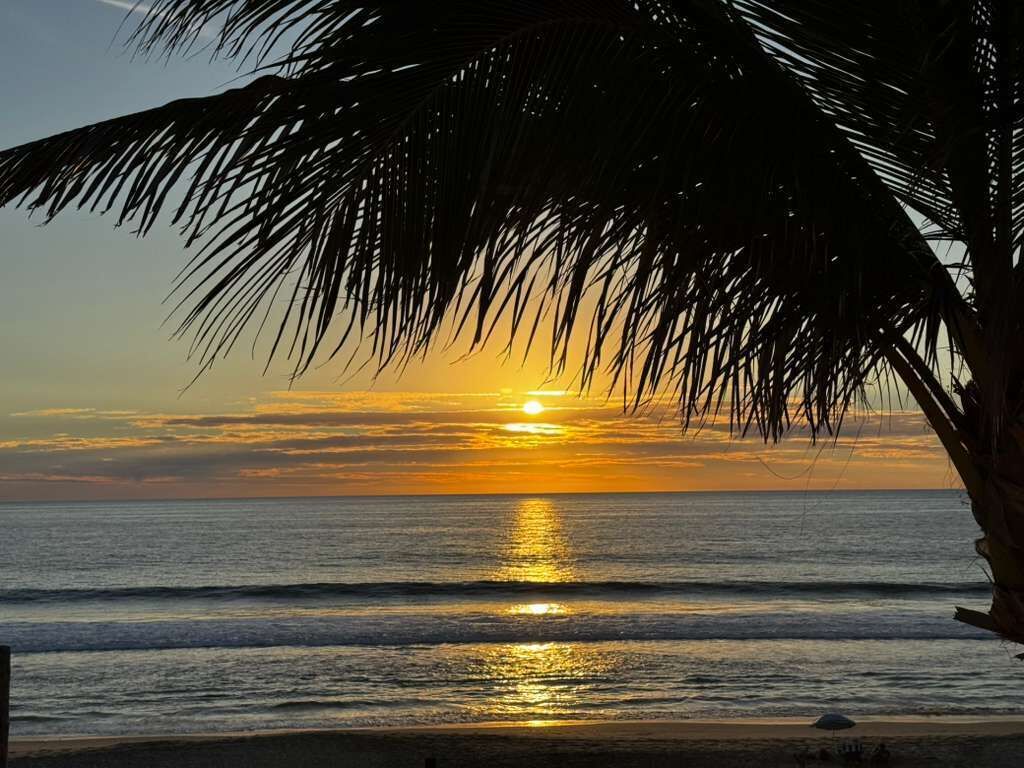 Vista desde la propiedad