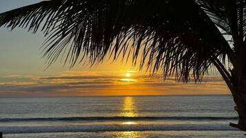 Vista desde la propiedad