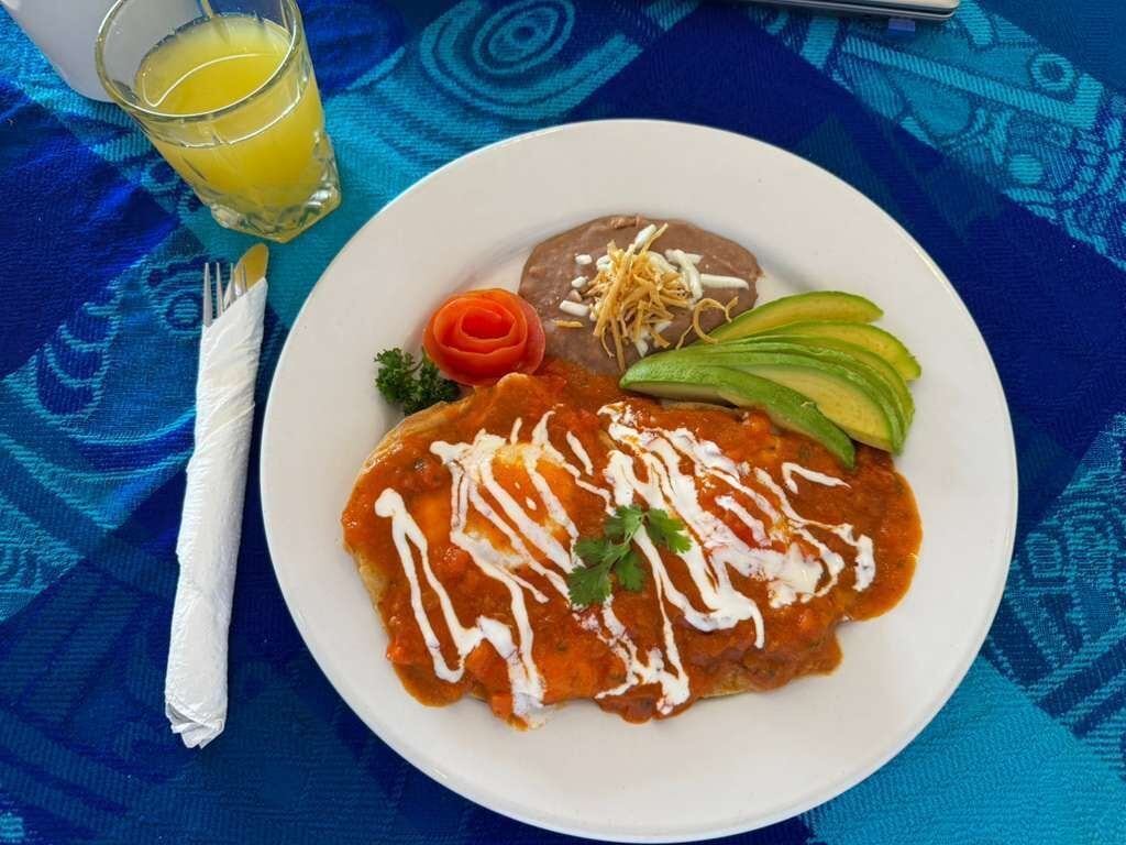 A plate with enchiladas, refried beans, avocado slices, and a side of salsa.