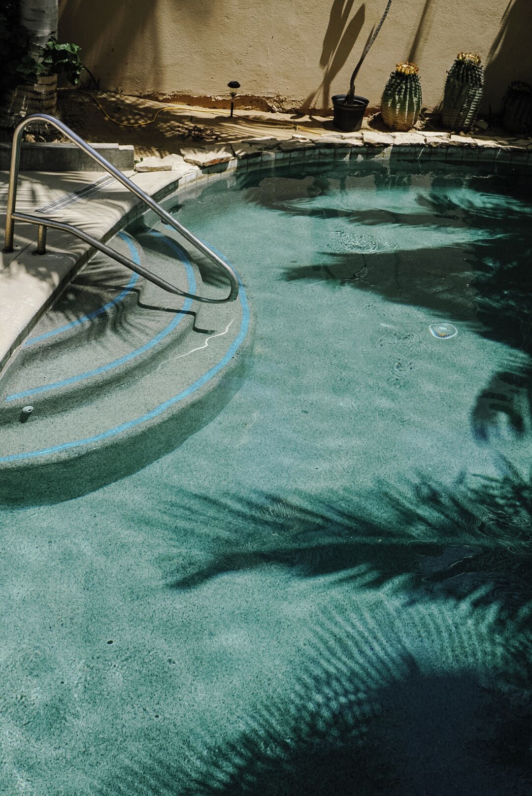 A swimming pool with a metal ladder, surrounded by potted plants and a concrete deck.