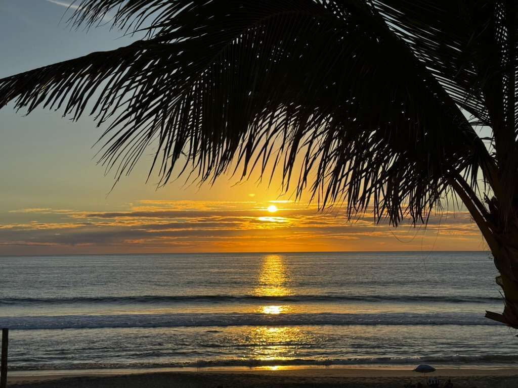 A sunset over the ocean with palm trees in the foreground.