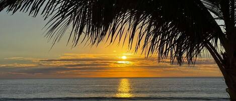 A sunset over the ocean with palm trees in the foreground.