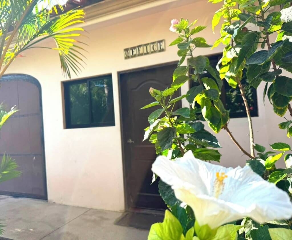 Un edificio con puerta y ventanas, rodeado de follaje.