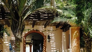 A courtyard with a palm tree, steps leading to an archway, and a tiled floor.