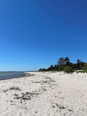 Playa en los alrededores 