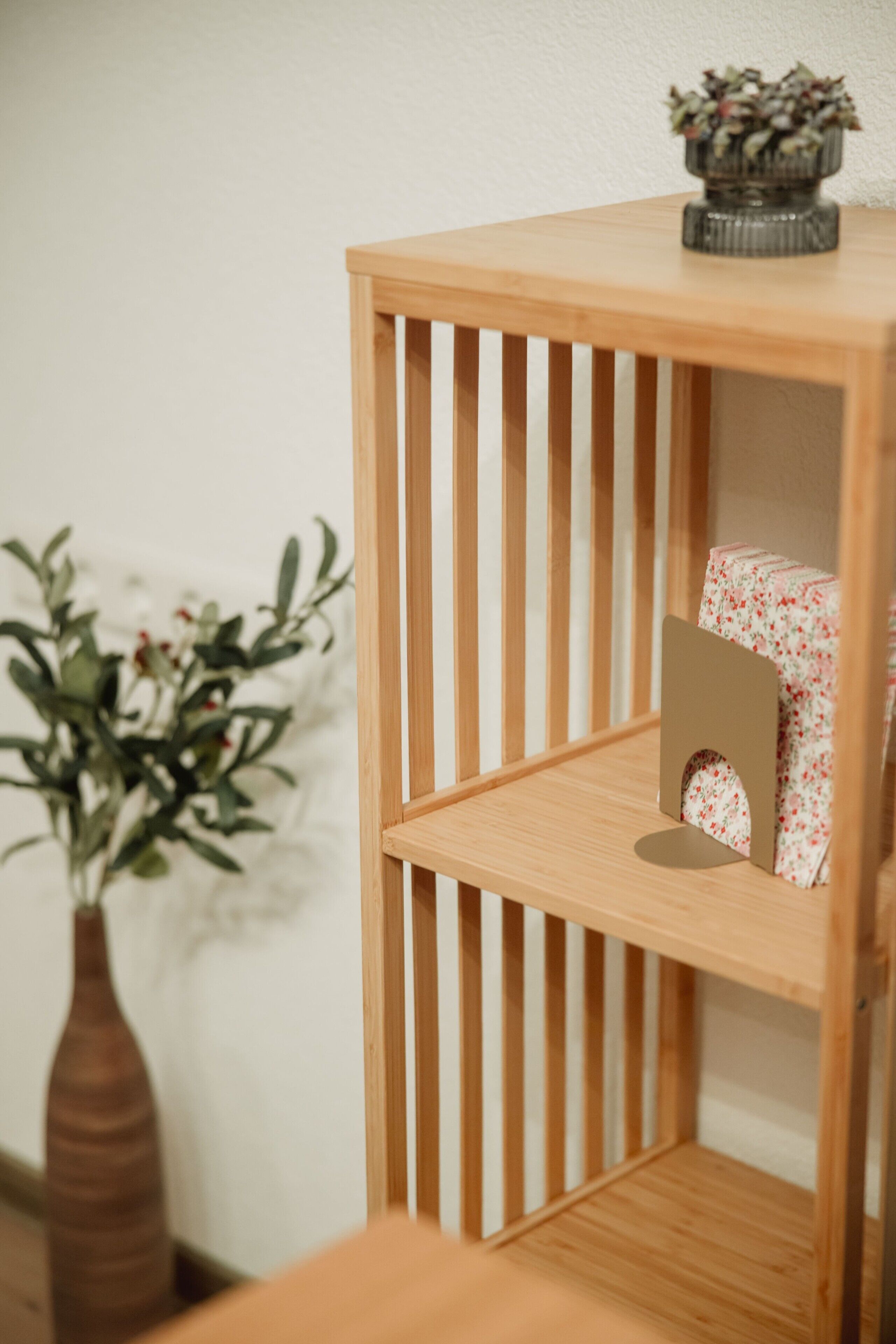 Een houten boekenkast met een kleine plant in een potje.