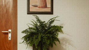 A wooden door, a framed artwork of a vase with branches, and a potted fern on a wooden console table.