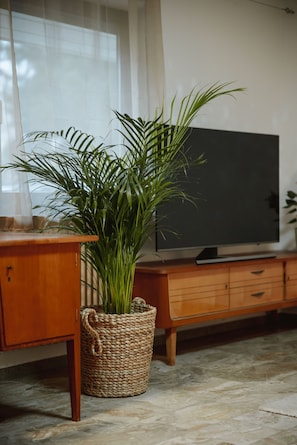 A room with a wooden cabinet, a woven basket with a plant, and a television on a wooden stand.