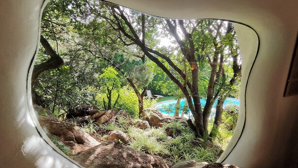 Ein Fenster mit Blick auf einen üppigen Garten und ein Schwimmbad.