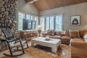 Smart TV, fireplace, books