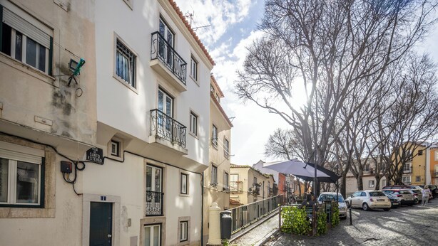 A cobblestone street lined with multi-story buildings, a parked car, and a tree without leaves. - A janela de Alfama (Lisbon)