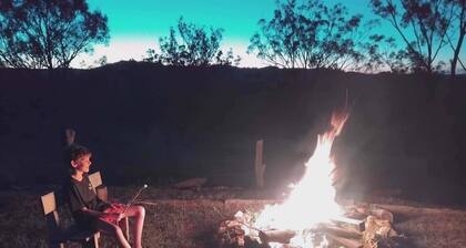 Vintage Bedford Bus Farm Glamping Under the Stars