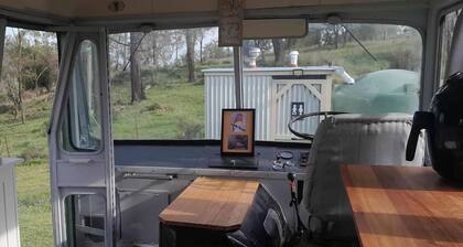 Vintage Bedford Bus Farm Glamping Under the Stars