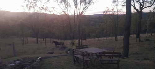 Vintage Bedford Bus Farm Glamping Under the Stars