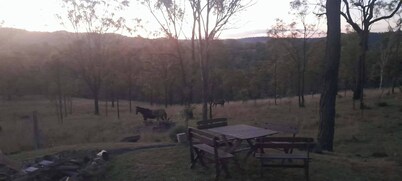 Vintage Bedford Bus Farm Glamping Under the Stars
