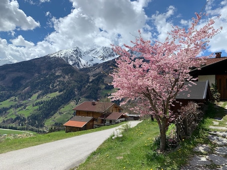 Property grounds. Welcoming to Haus RuHe in charming Grosskirchheim