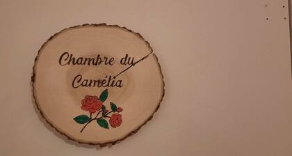 Chambre dâhĂŽtes « Le CamĂ©lia » avec piscine partagĂ©e et Wi-Fi