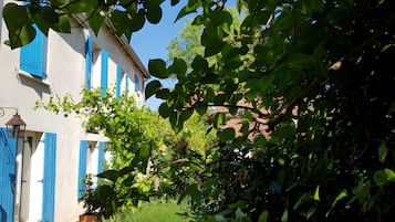 DĂ©tail de lâextĂ©rieur