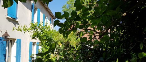 DĂ©tail de lâextĂ©rieur
