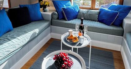 Modern mansion near by the sea beautiful garden terrasse chimney air condition