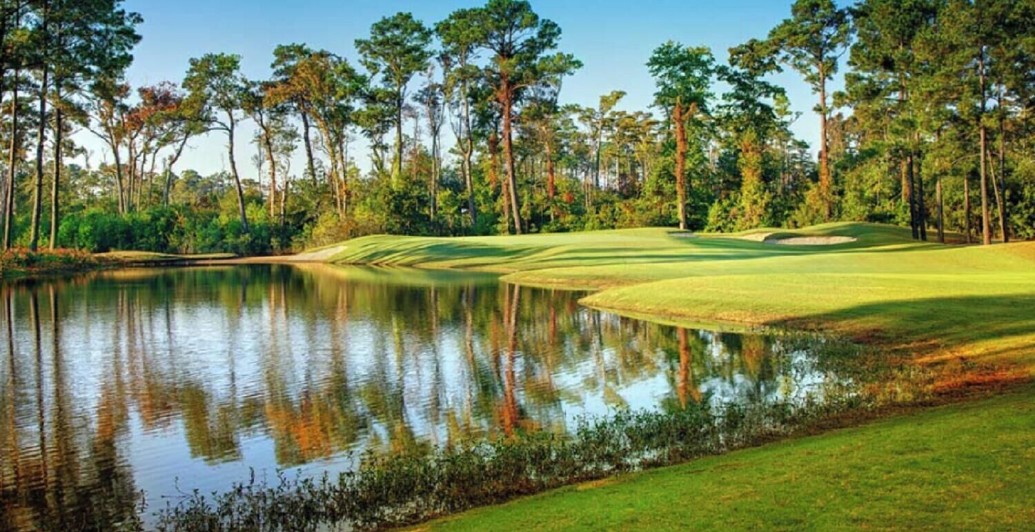 Un campo da golf con uno stagno, circondato da alberi alti e un cielo sereno.