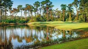 Un campo de golf con un estanque, rodeado de árboles altos y un cielo despejado.