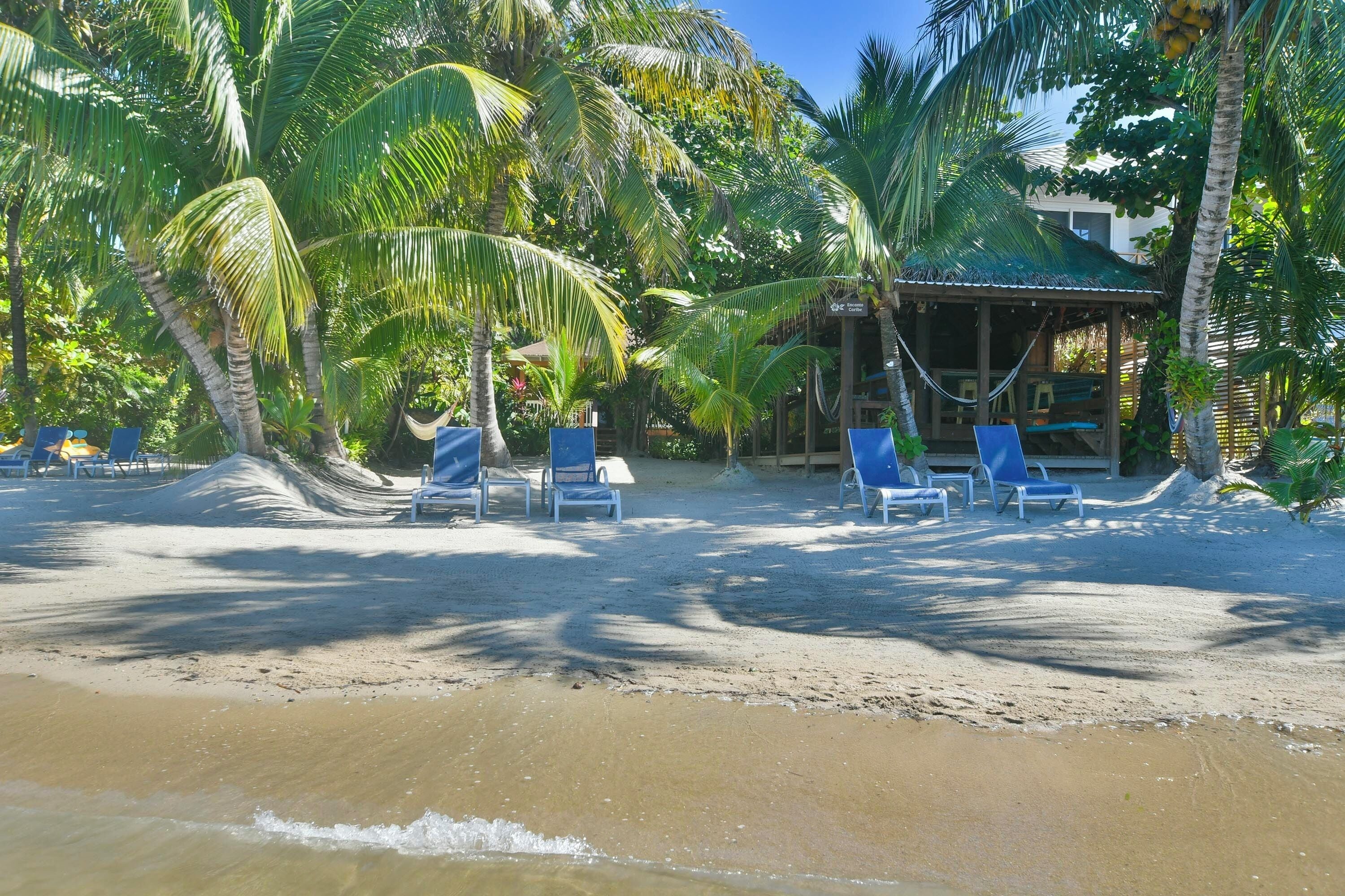 A beach with blue lounge chairs and a thatched-roof hut.