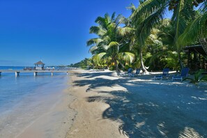 Playa en los alrededores 