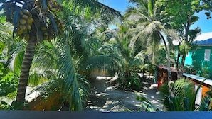 Un jardin luxuriant, avec des palmiers et un sentier menant à un bâtiment doté d’un toit végétalisé.