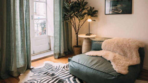 A cozy room with a green sofa, a zebra-patterned rug, a potted plant, and a framed picture on the wall. - Saudade Apartment (Lisbon)