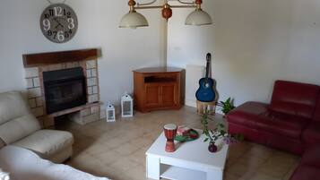 TV, fireplace, DVD player, ping pong