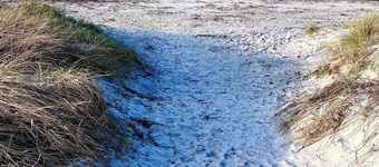 Modern holiday home with hot tub and nature