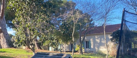 Children's area