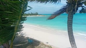 On the beach - Newly Listed Beachfront Open-Concept Accommodation with Beautiful Views! (Steventon)