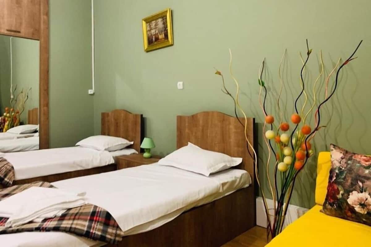 Ein Zimmer mit zwei Einzelbetten, einer grünen Wand, einem gerahmten Bild und einer Zimmerpflanze.