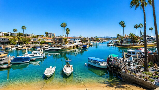 A marina with boats docked, clear water, and palm trees.