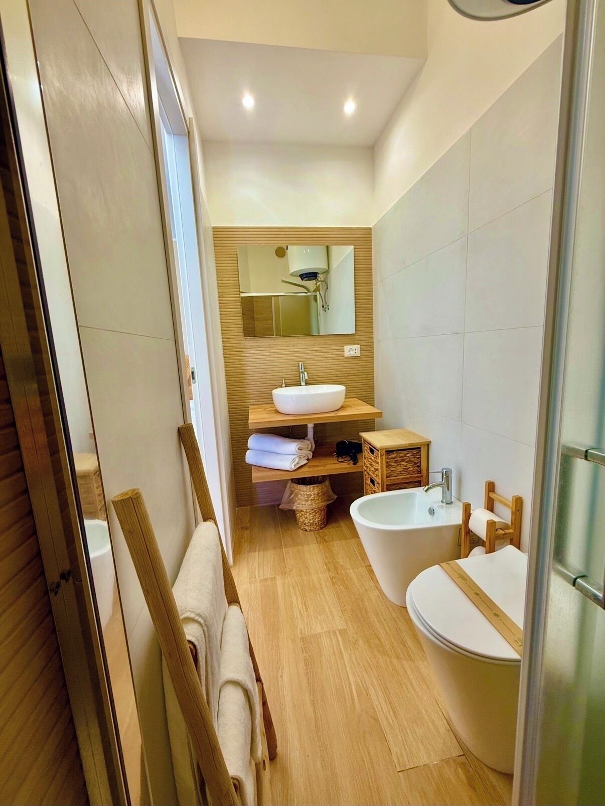 Shower, hair dryer, bidet, towels