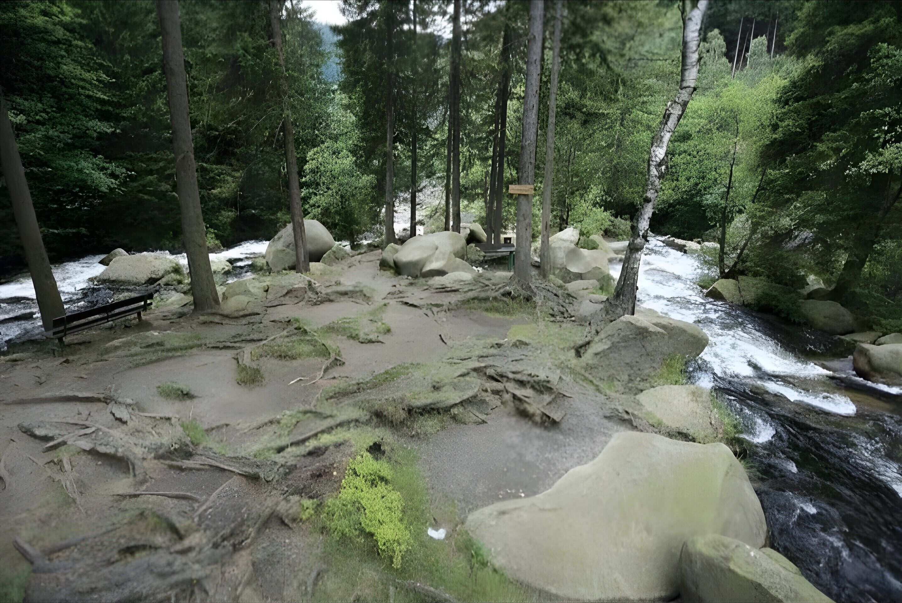 A forested area with a river, rocks, and a bench.