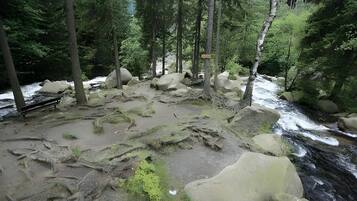 A forested area with a river, rocks, and a bench.
