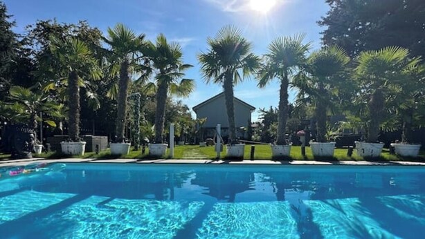 A swimming pool surrounded by palm trees and a building in the background. - Vacation apartment Luna (Teltow)