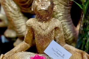 Eine goldene Affuenstatue mit dem Schriftzug 'Villa Tropicana Five Star'.
