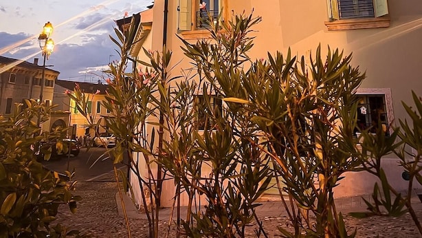 Un immeuble doté de nombreuses fenêtres, avec une rue devant.