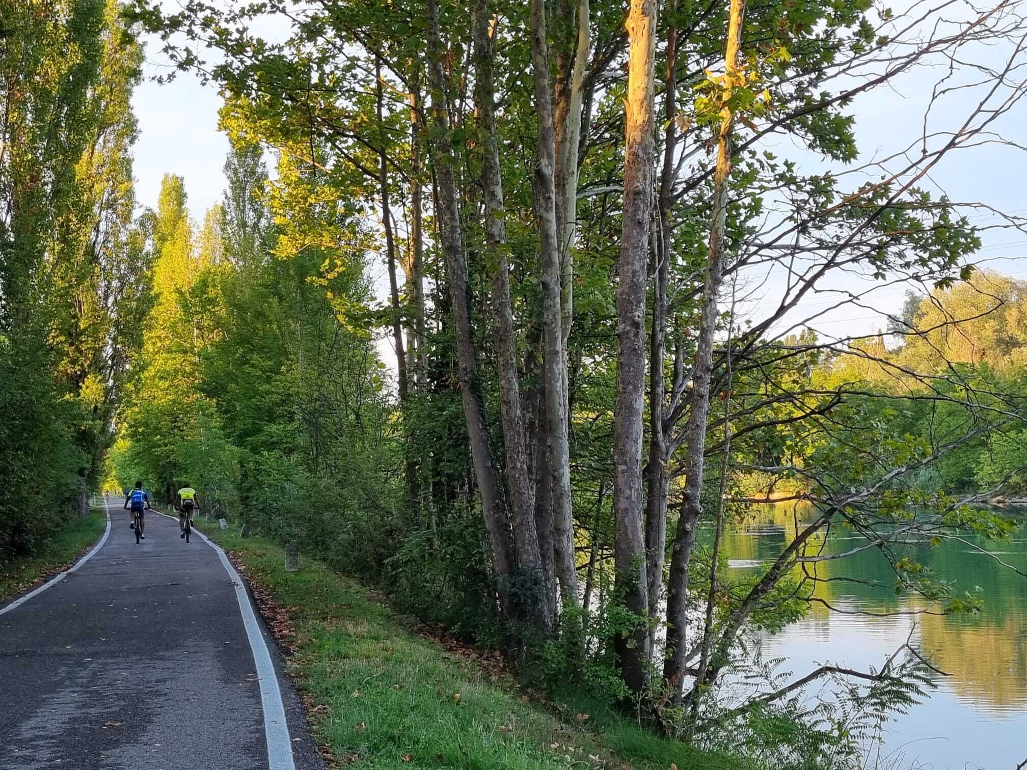 A paved path alongside a body of water, surrounded by trees and greenery.