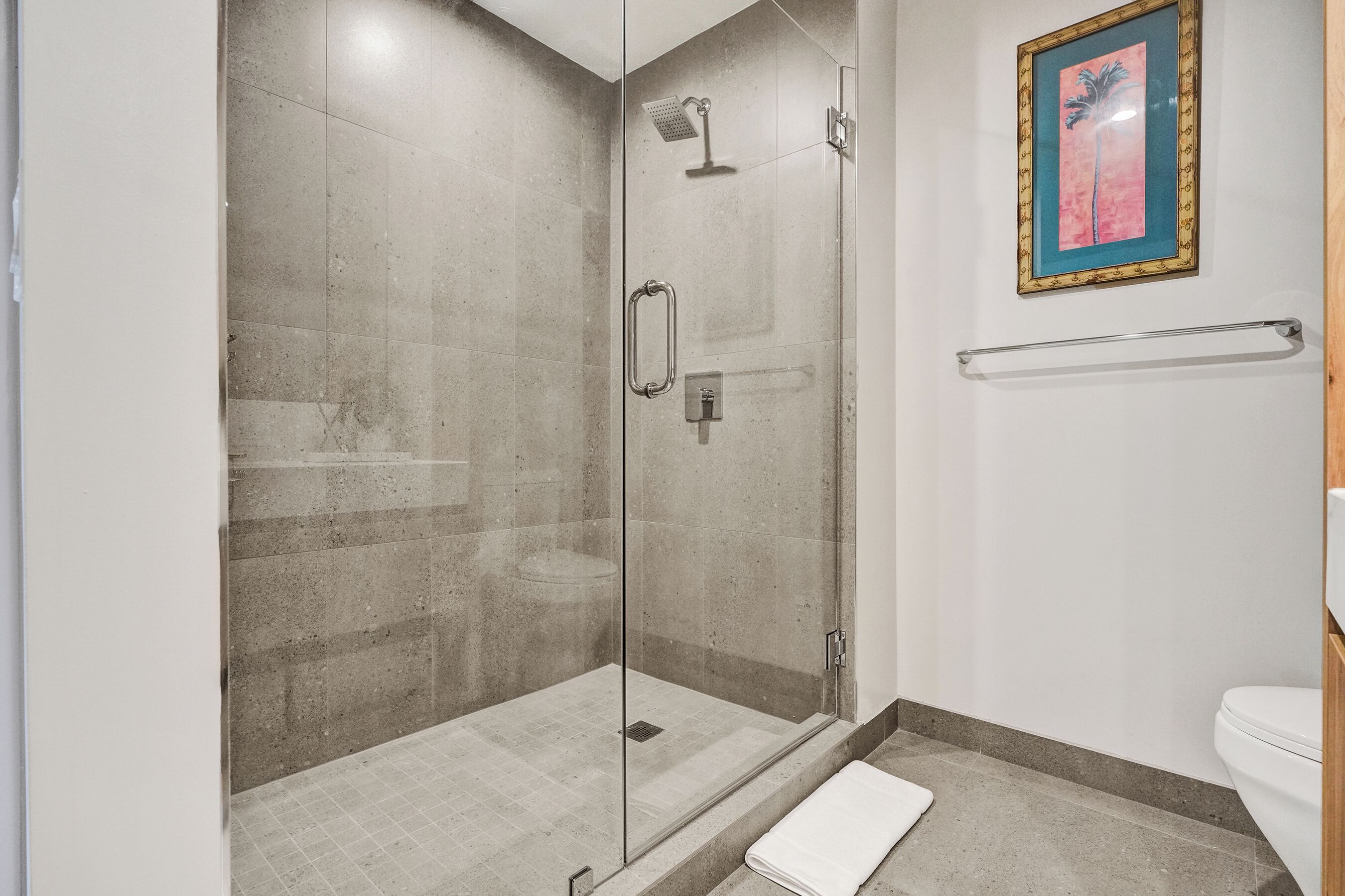 Un bagno moderno con doccia vetro, WC bianco e un quadro appeso alla parete.