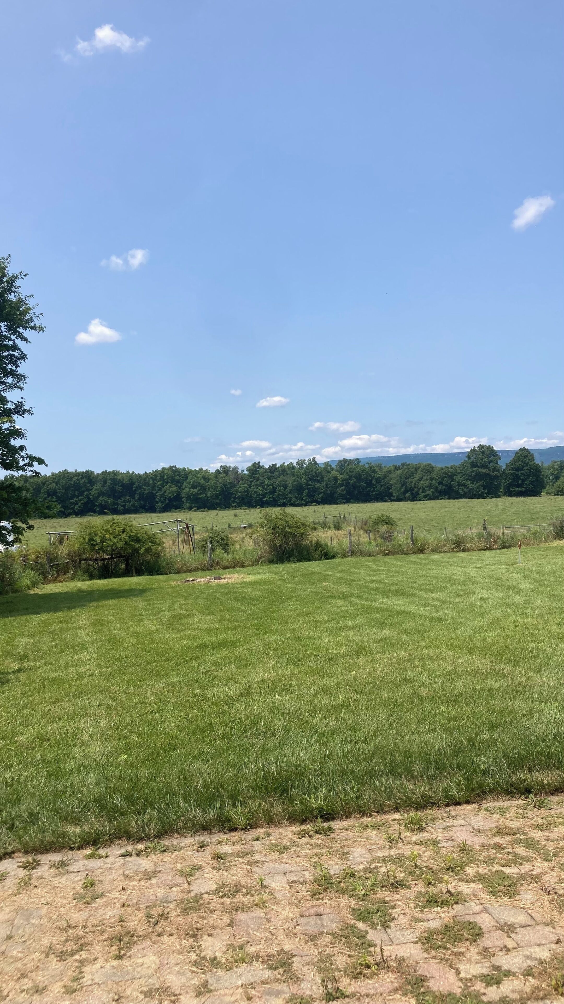 Ein grasbewachsenes Feld mit einem Zaun und Bäumen im Hintergrund.